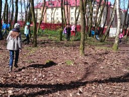Sprzatanie swiata 2016 - 16